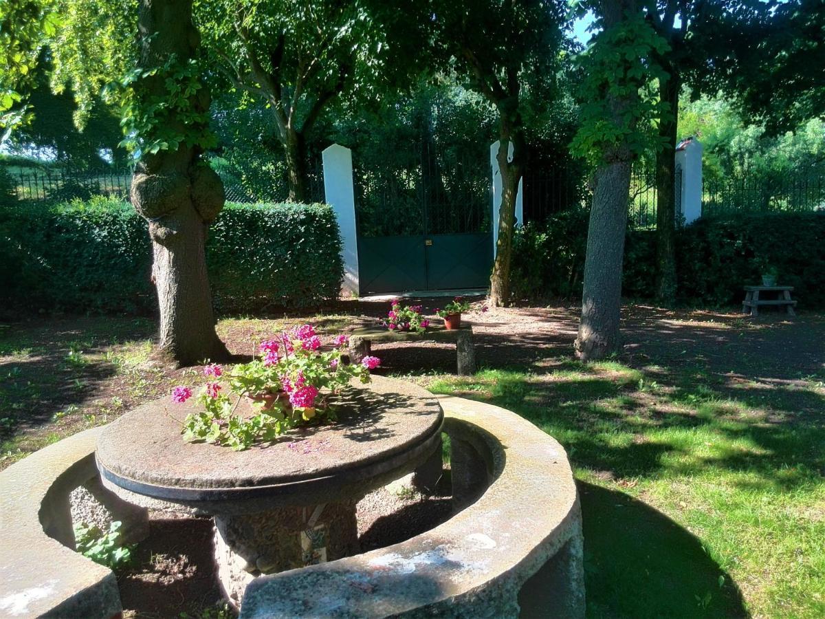 Вилла Torre De Codinac Sant Pere de Torello Экстерьер фото